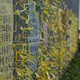 Yellow ribbons for universal suffrage adorn a fence outside Hong Kong government headquarters.